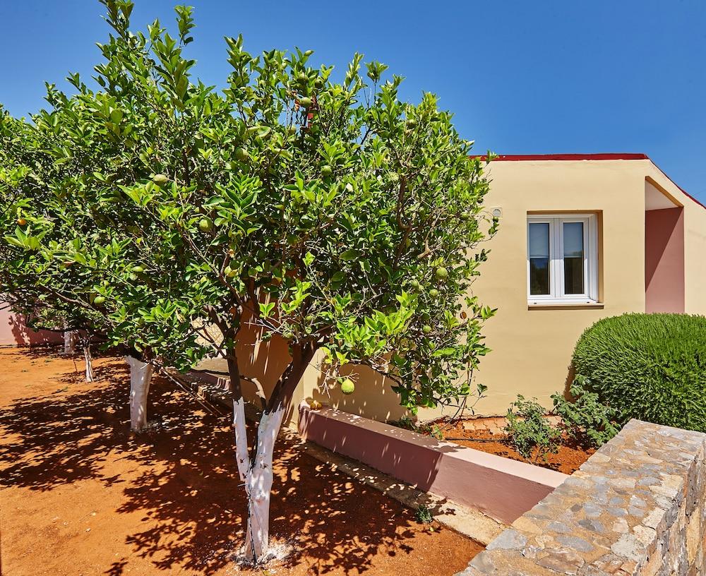 Everest Apartments And Suites Stalida Exterior foto